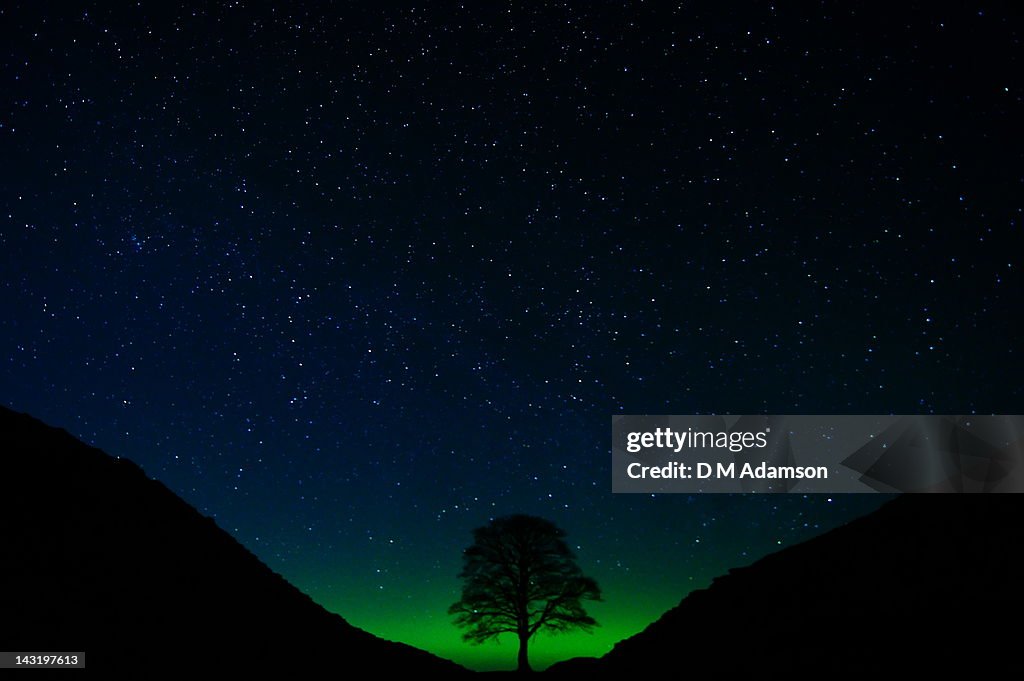 Sycamore Gap