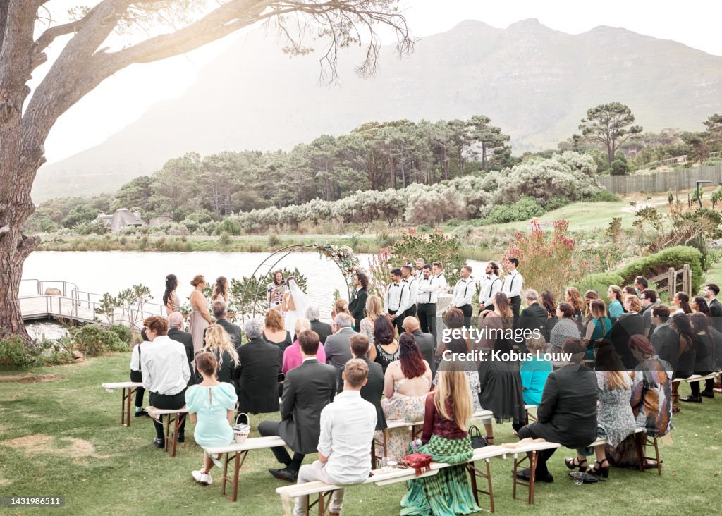 Wedding, nature and group of family and friends at the ceremony in a lake garden for celebration. Love, outdoors and guests watching a couple get married at a luxury, elegant and marriage event.
