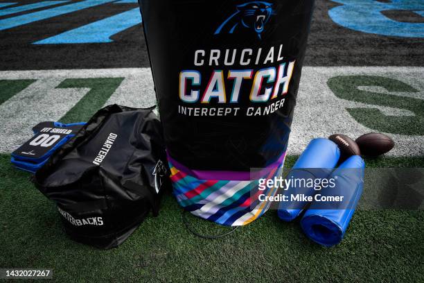Crucial Catch logo below the Carolina Panthers logo on the upright base padding before the game between the San Francisco 49ers and Carolina Panthers...