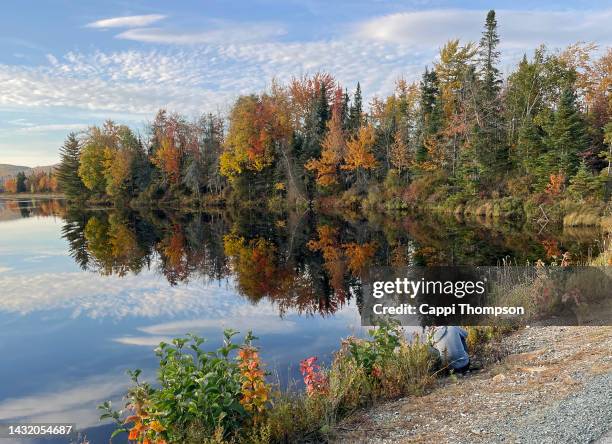 muslim man photographing autumn foliage along the androscoggin river in dummer, new hampshire usa - lake solitude (new hampshire) stock pictures, royalty-free photos & images