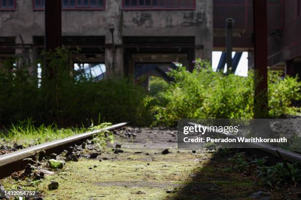 low angle and selective focus view at abandon track railway. - rust deutschland stock-fotos und bilder