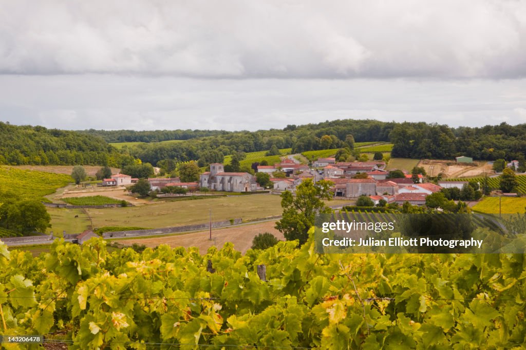 The village of Saint Preuil in Cognac.