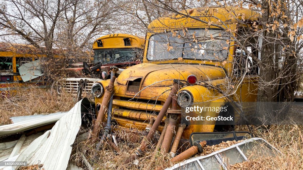 Old School Buses Junkyard