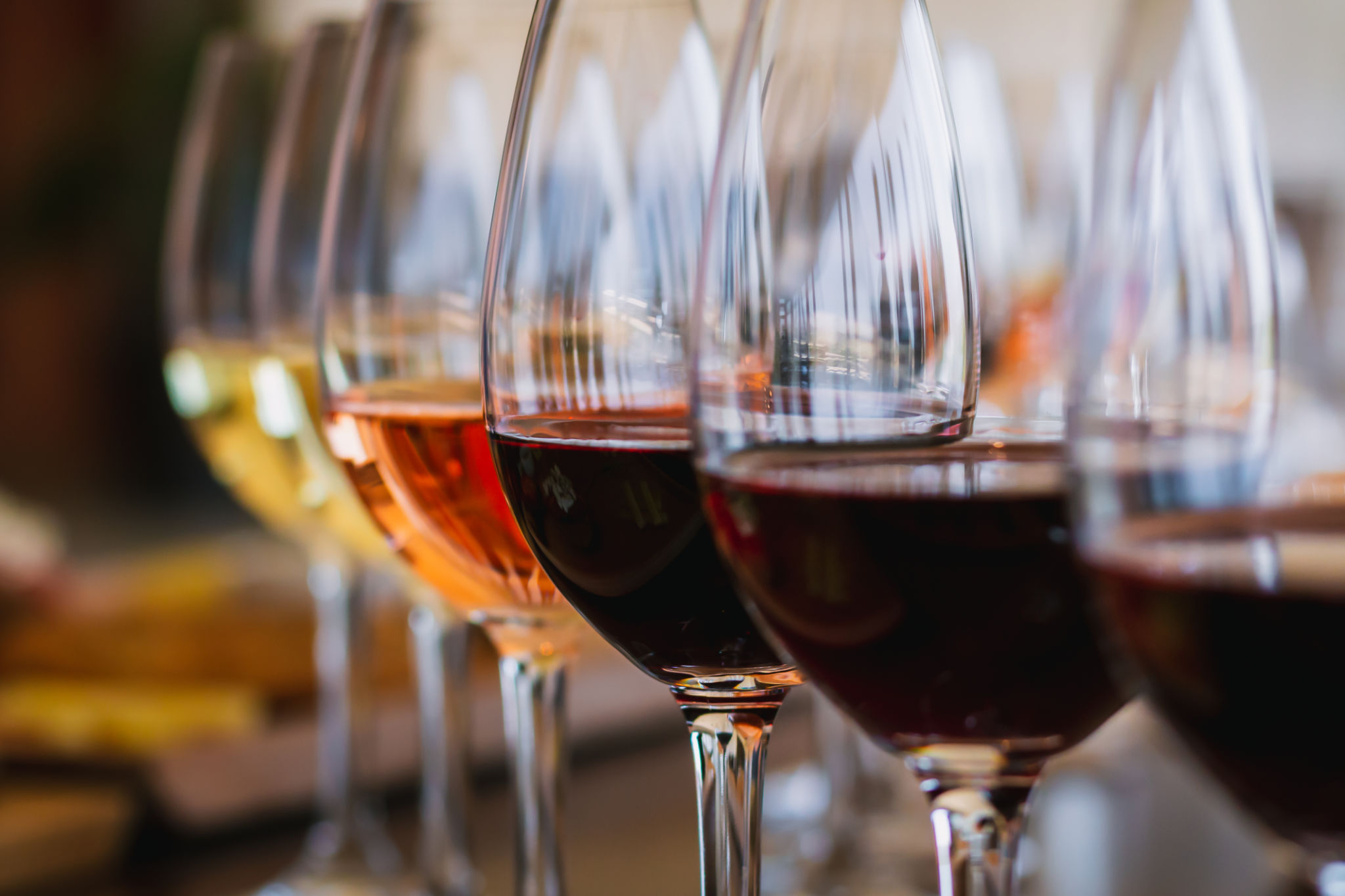 vineyard wine tasting