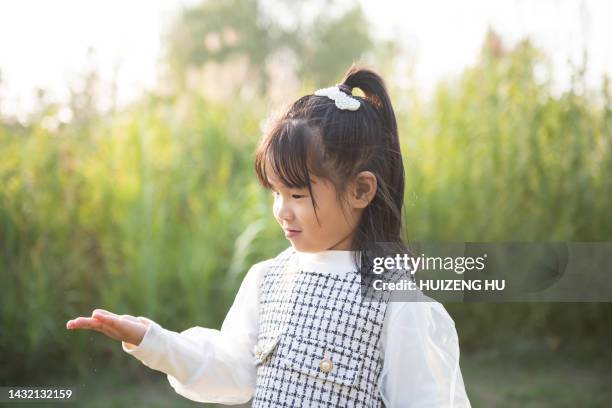 little girl holding open palm empty hand - child palm of hand stock pictures, royalty-free photos & images