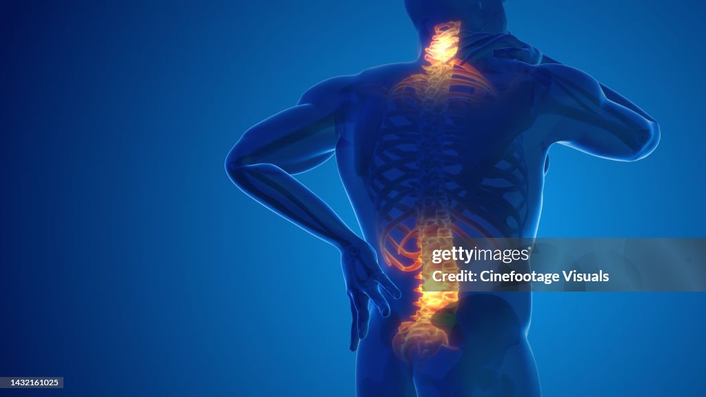 Pain in the back and neck joint 3D illustration