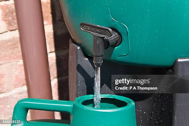 watering can being filled from a water butt, england - shower water stockfoto's en -beelden