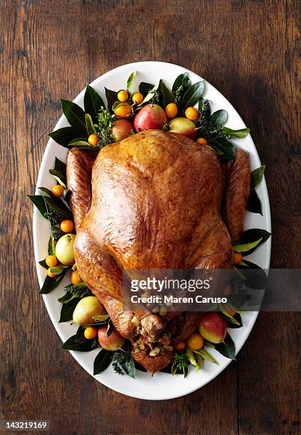 overhead of turkey dish on wood surface - turkey fotografías e imágenes de stock