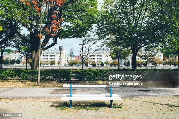 a bench in the park - boulevard stock pictures, royalty-free photos & images