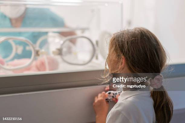 hermana observa a su bebé recién nacido en la incubadora - premature baby incubator fotografías e imágenes de stock