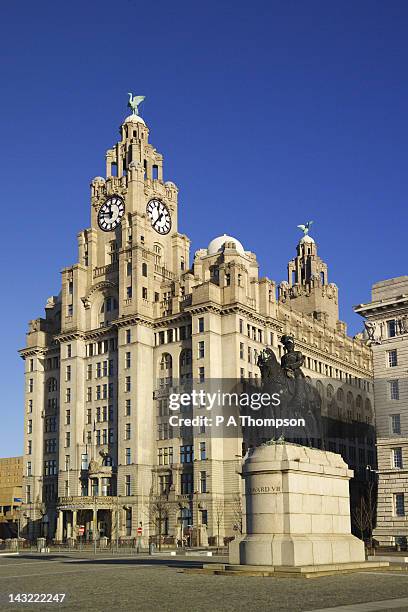 liver building and statue of edward vii, liverpool, merseyside, england - royal liver building stock pictures, royalty-free photos & images