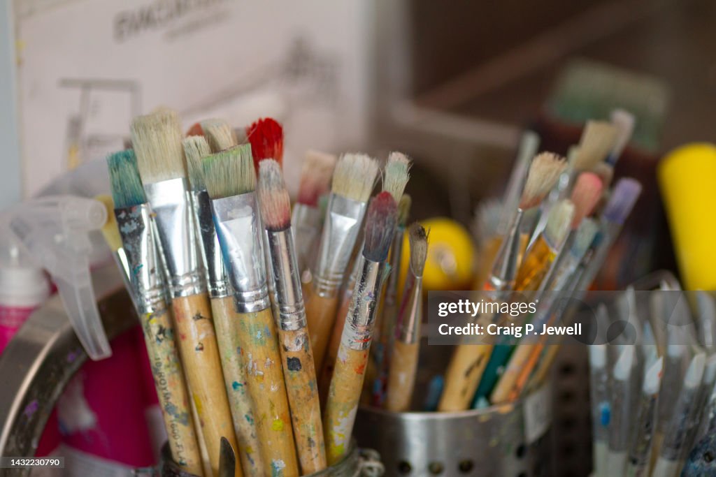 Artist Paint Brushes
