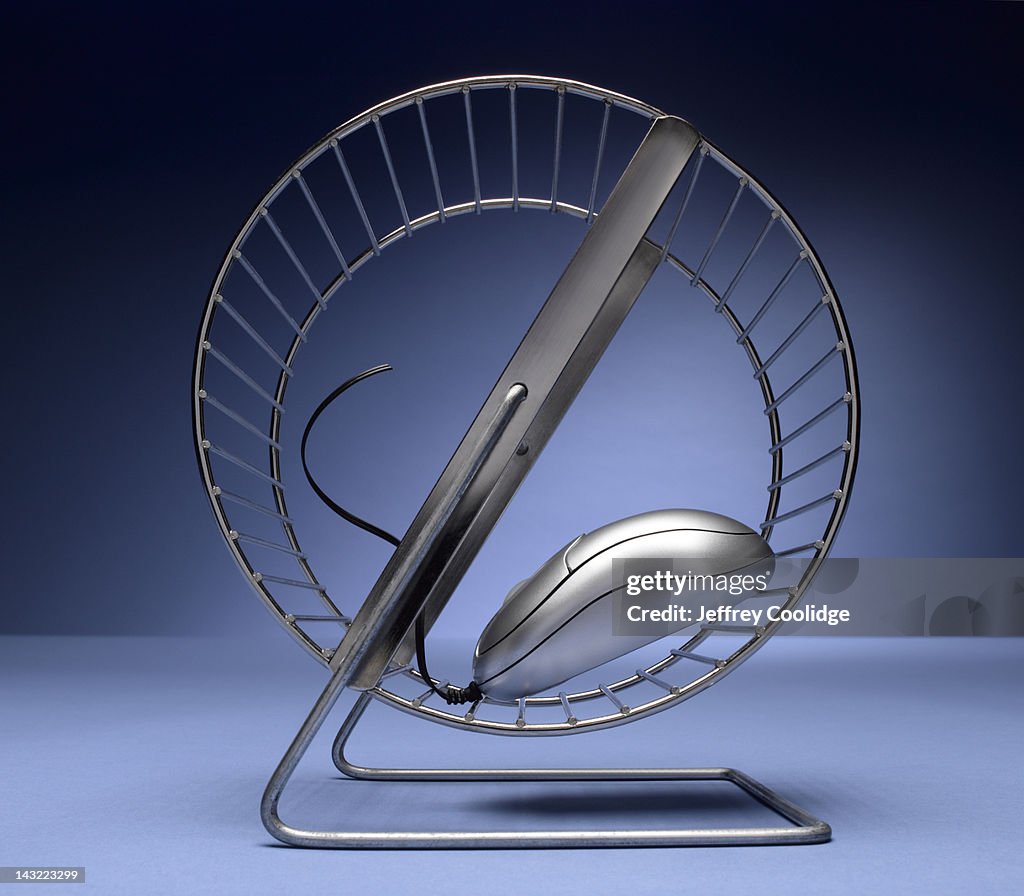 Computer Mouse on Exercise Wheel