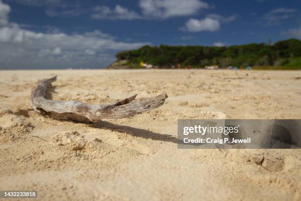 driftwood on a white sandy beach - brisbane beach stock pictures, royalty-free photos & images