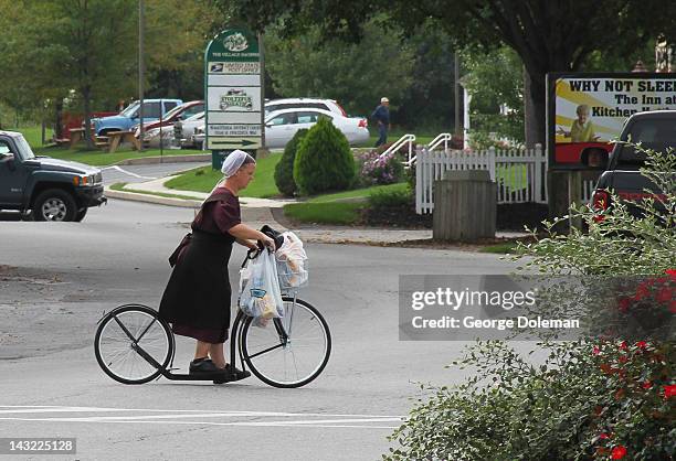 Lots of Amish going about their everyday business in Bird-in-Hand. This lady carrying bags on her cycle stood out.