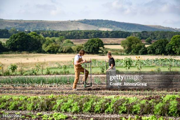 preparación regenerativa del suelo en una pequeña explotación agrícola - jardinería orgánica fotografías e imágenes de stock