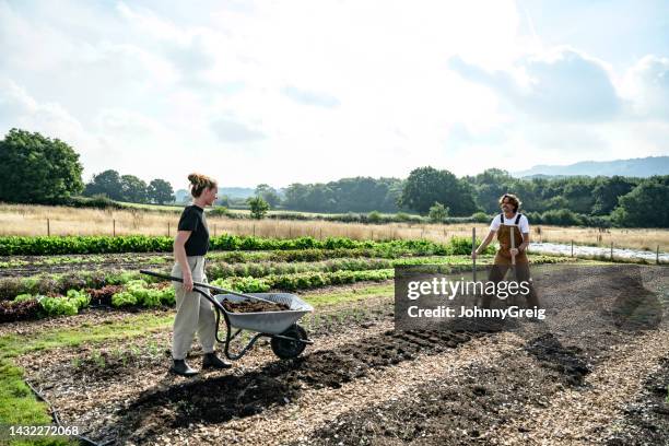 smallholding farmers preparing planting row for new growth - compost garden stockfoto's en -beelden