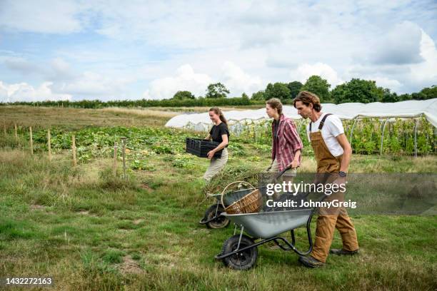 market gardeners with wheelbarrows and harvesting containers - kruiwagen stockfoto's en -beelden