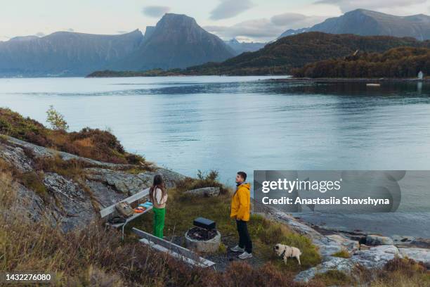 woman and a man with a dog contemplating picnic by the sea with mountain view in norway - scandinavia picnic stock pictures, royalty-free photos & images