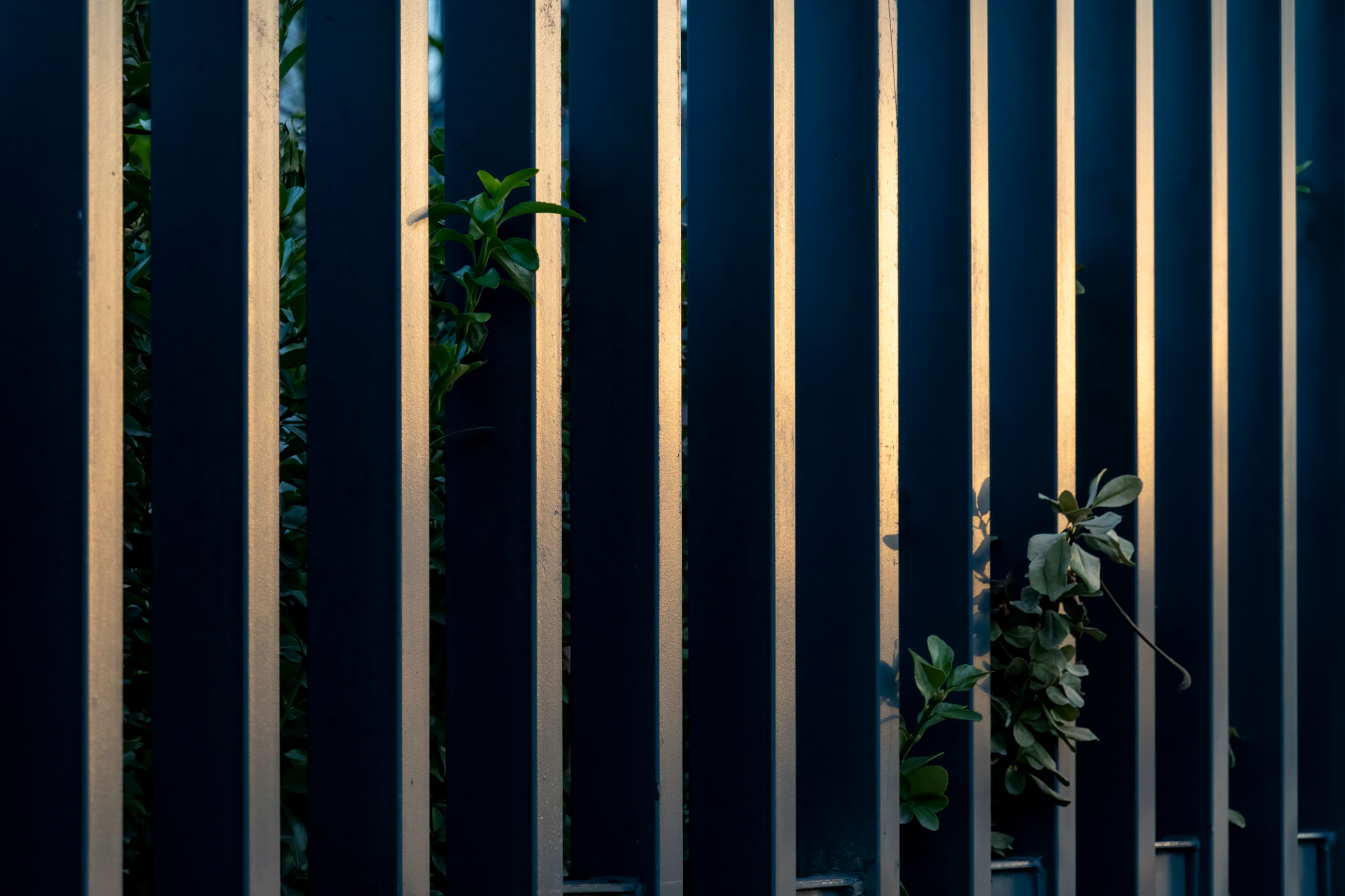 metal fence business