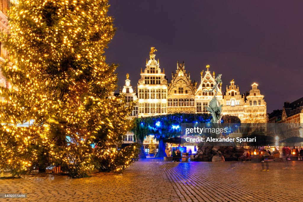 Illuminated Christmas tree at Grote Markt square in Antwerpen, Belgium