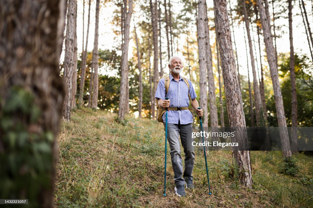 Senior man using hiking poles on a hike