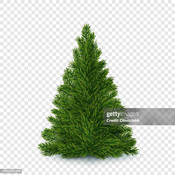 vector christmas tree without decorations - natural condition stock illustrations