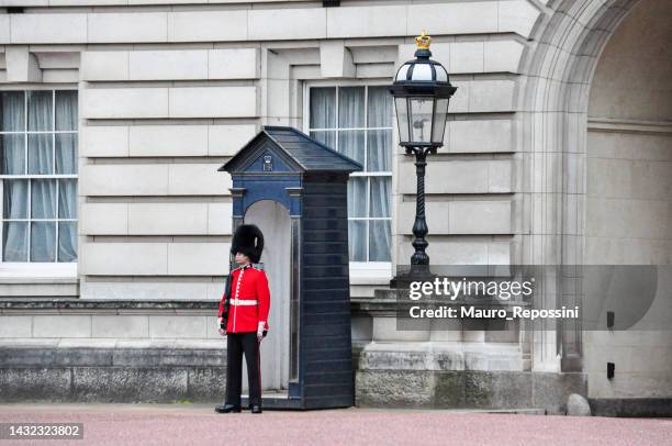 one armed soldier guard using bearskin standing in the front yard at buckingham palace, london, england - buckingham palace guard stock pictures, royalty-free photos & images