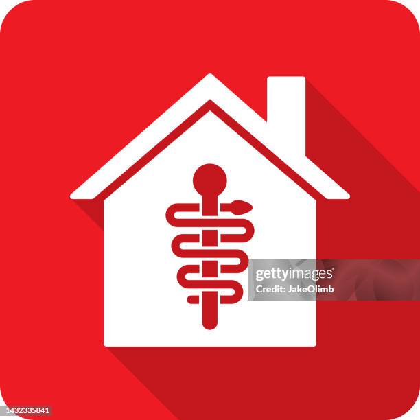 house rod of asclepius icon silhouette - rod of asclepius stock illustrations