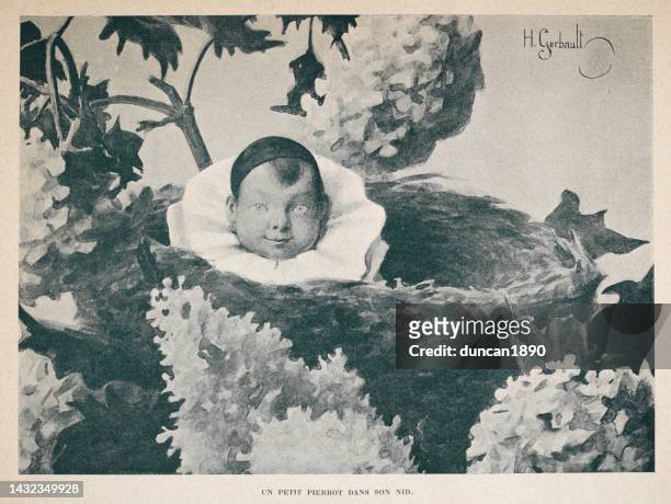 baby in a bird's nest, un petit pierrot dans son nid, french 1890s, 19th century - eccentric stock illustrations