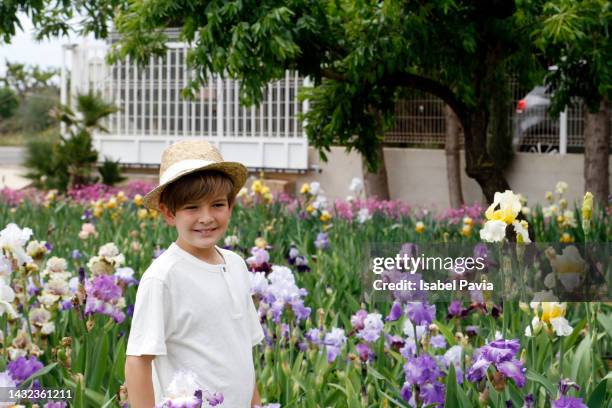 boy at iris flowers garden - the purple iris stock pictures, royalty-free photos & images