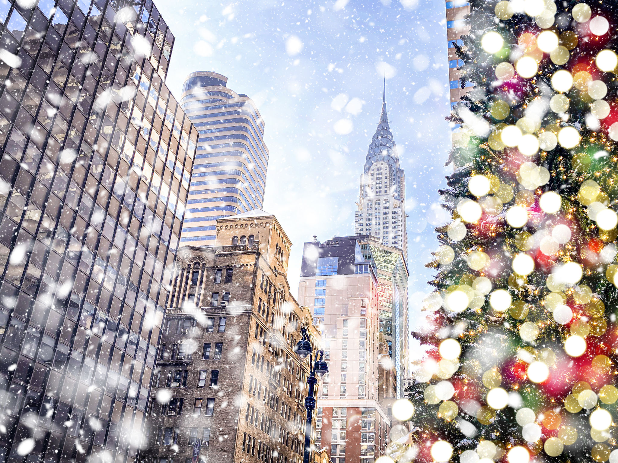 new york winter