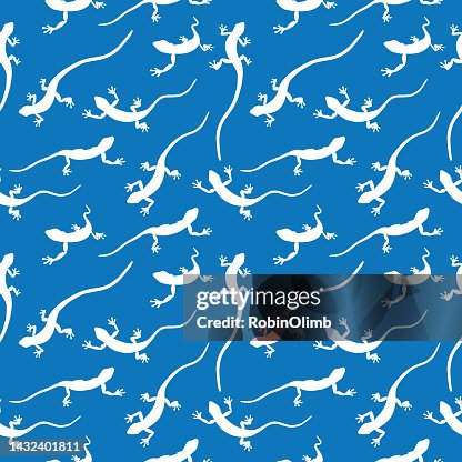Geckos Seamless Pattern High-Res Vector Graphic - Getty Images