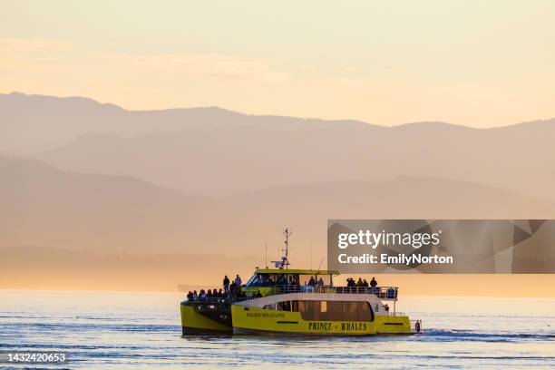 whale watching tour boat - tour boat stock pictures, royalty-free photos & images