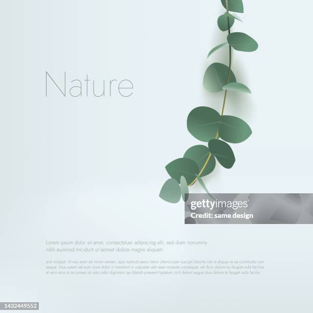 vector green eucalyptus leaves - eucalyptus tree stock illustrations