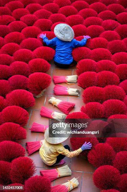 vietnam incense sticks are drying under sunlight, with vietnamese woman in connical hat working outdoor. - vietnam travel stock pictures, royalty-free photos & images