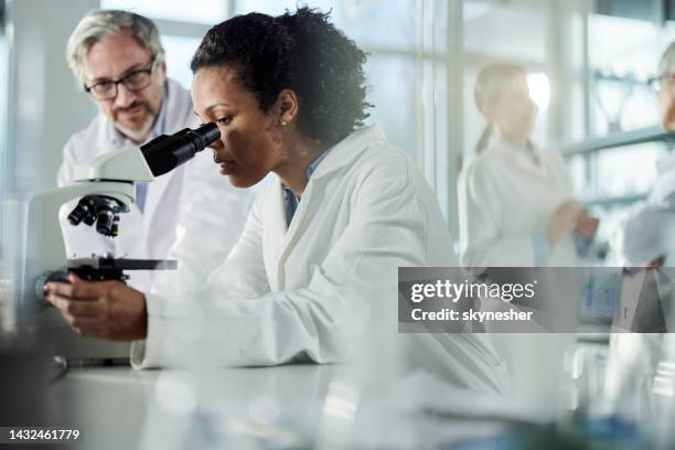 african american student of science working on microscope in laboratory. - black lab bildbanksfoton och bilder