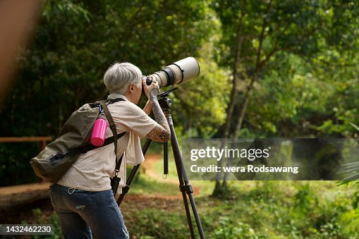 Active senior woman taking photo bird in wild Active senior woman taking photo bird in wild