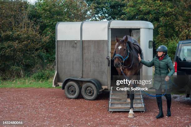 horse back riding in the countryside - paardenwagen stockfoto's en -beelden