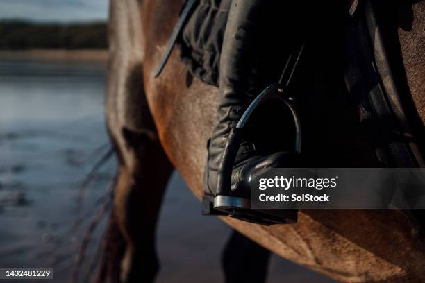 ready for adventure - stirrup stock pictures, royalty-free photos & images