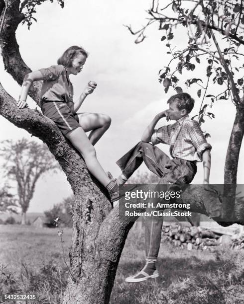 1930s Teenage Boy & Girl Talking Sitting Tree Girl Eating Apple Wearing Shorts Boy Wearing Blue Jeans Listening Looking At Her