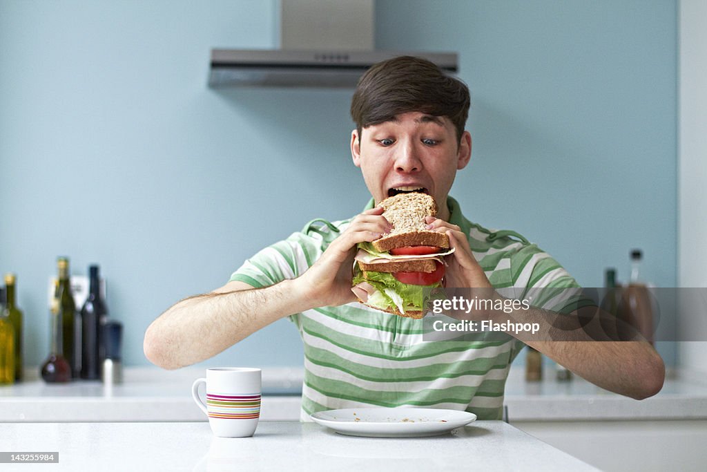 Portrait of man eating giant sandwich