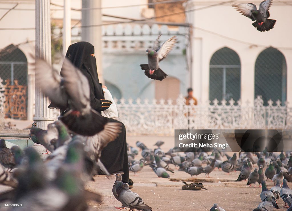 Muslim woman, in niqab, feeding pigeons