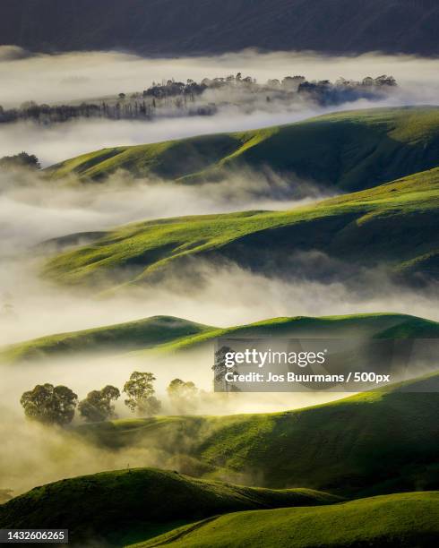 scenic view of landscape against sky,new zealand - new zealand rural stock pictures, royalty-free photos & images