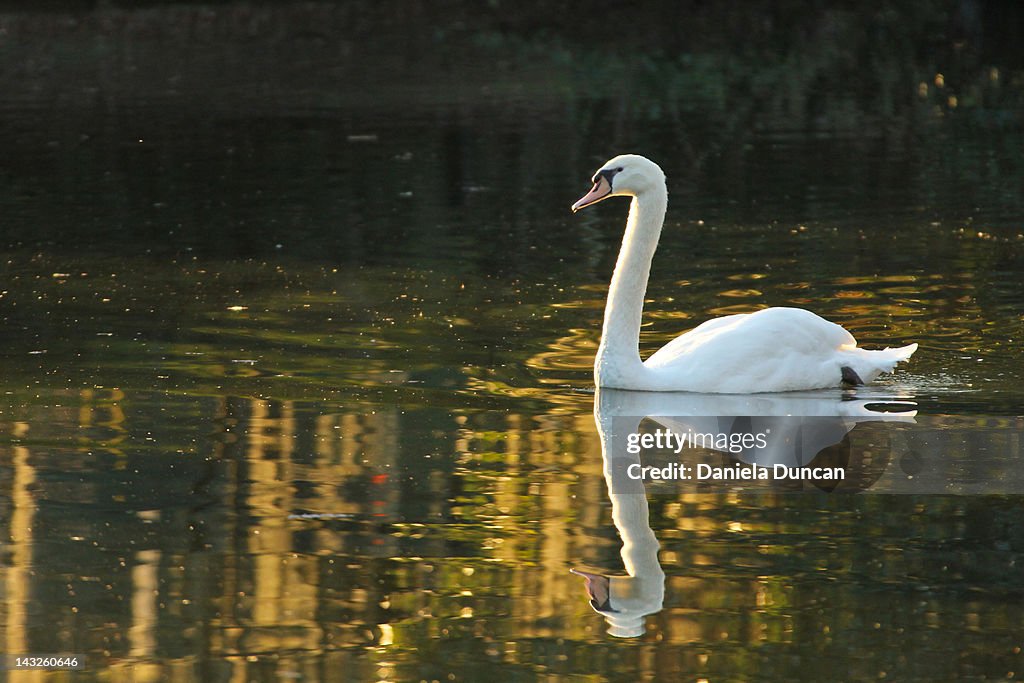 Passing beauty