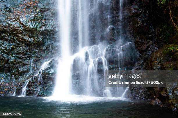 scenic view of waterfall in forest - 滝 stock pictures, royalty-free photos & images