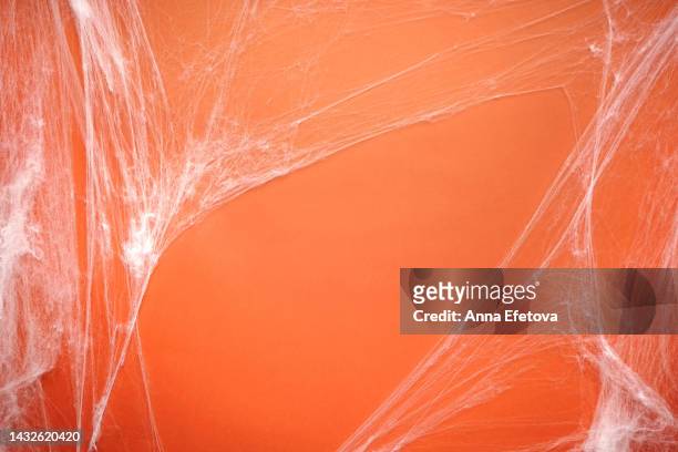 white spider web on orange background. halloween decoration concept. horror and spooky backdrop with copy space for your design - spider web bildbanksfoton och bilder