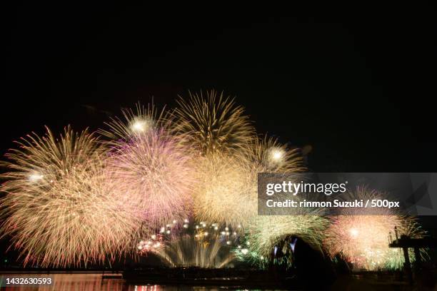 low angle view of firework display against sky at night - 湖 fotografías e imágenes de stock