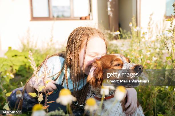 teenager girl with her dog enjoying sun at the back yard sitting in chamomiles - ブリタニースパニエル ストックフォトと画像