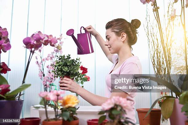 young woman watering flowers in her home - watering pot stock pictures, royalty-free photos & images
